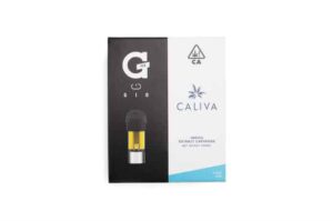 6ML G Pen Gio Pods Caliva