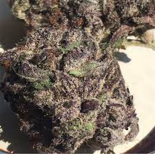 Purple chemdawg strain