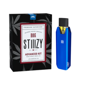 Original BIIIG STIIIZY Battery